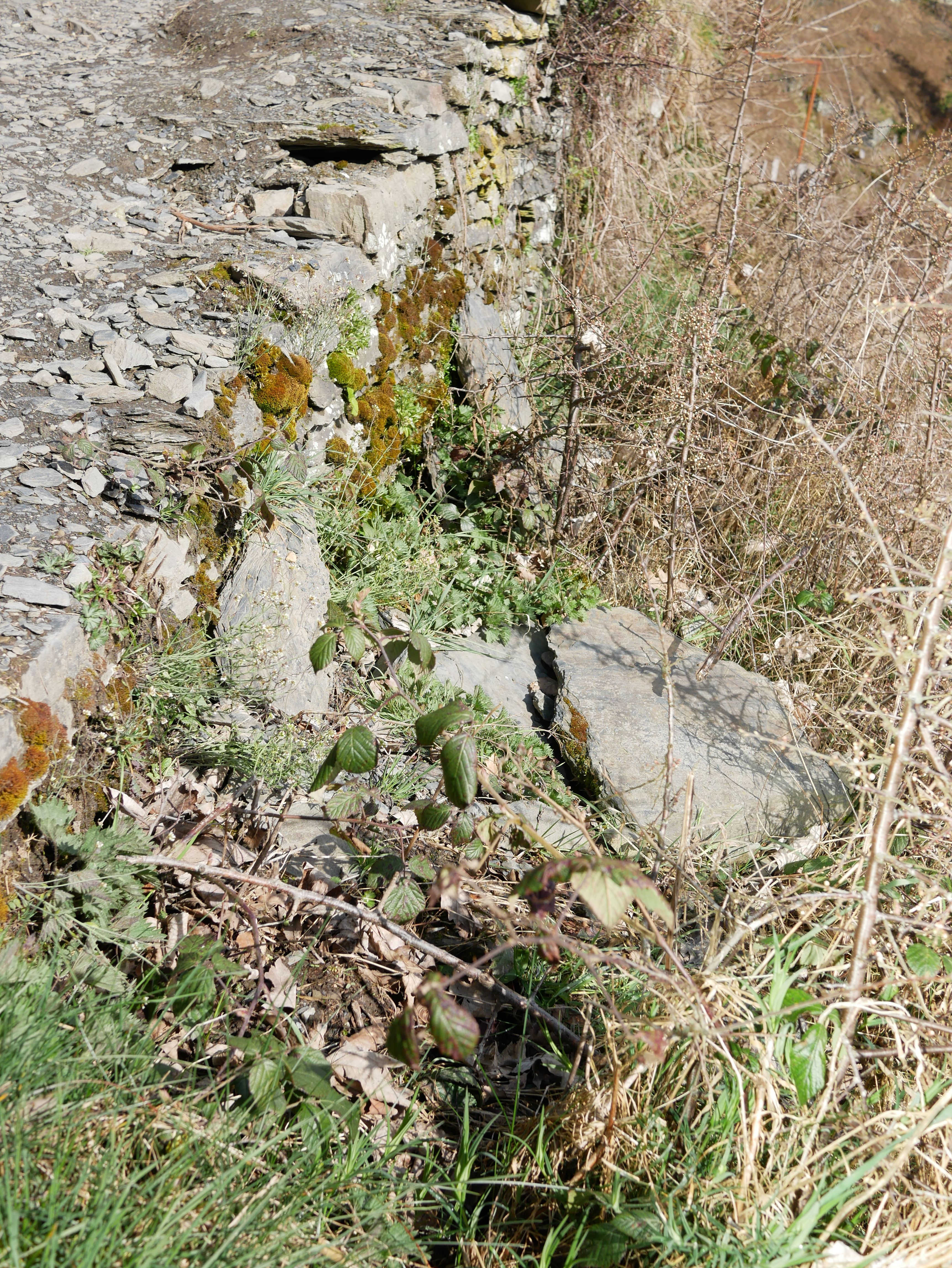 GERMANY #1 - Photo 2