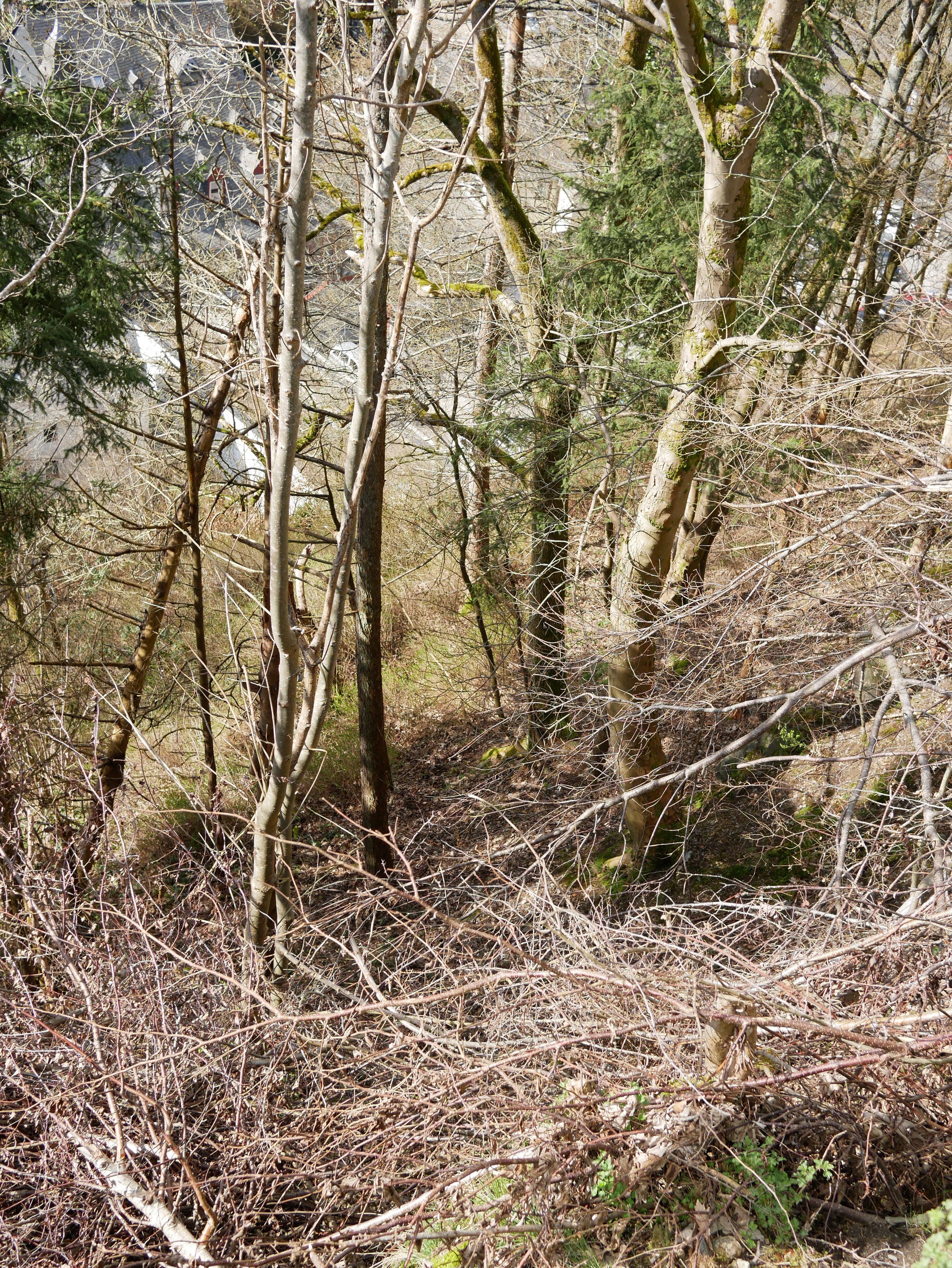 GERMANY #1 - Photo 6